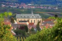 Arzheim 
