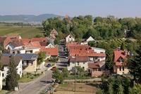 Wollmesheim 