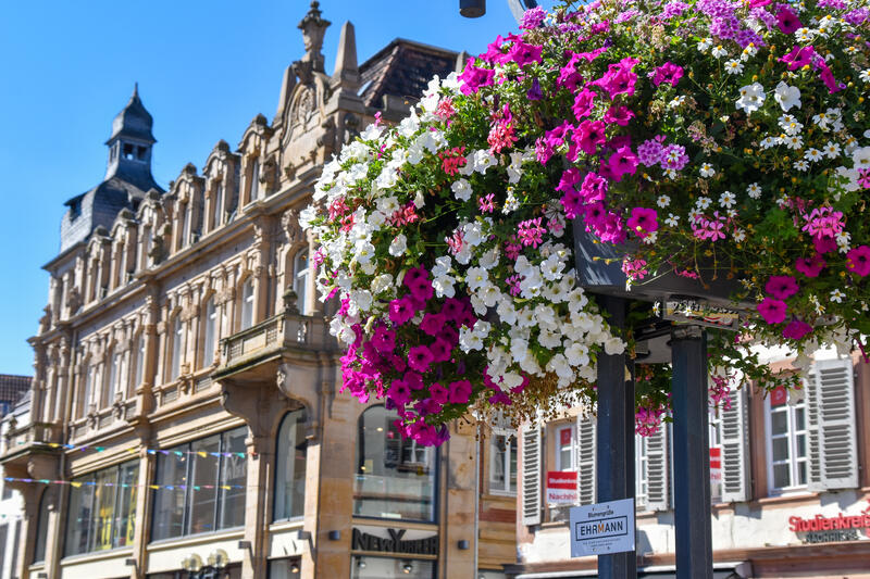 F&uuml;r eine attraktive Innenstadt: Auch in diesem Jahr sponsert die Firma M&ouml;bel Ehrmann den Blumenschmuck in der Landauer Fu&szlig;g&auml;ngerzone. 