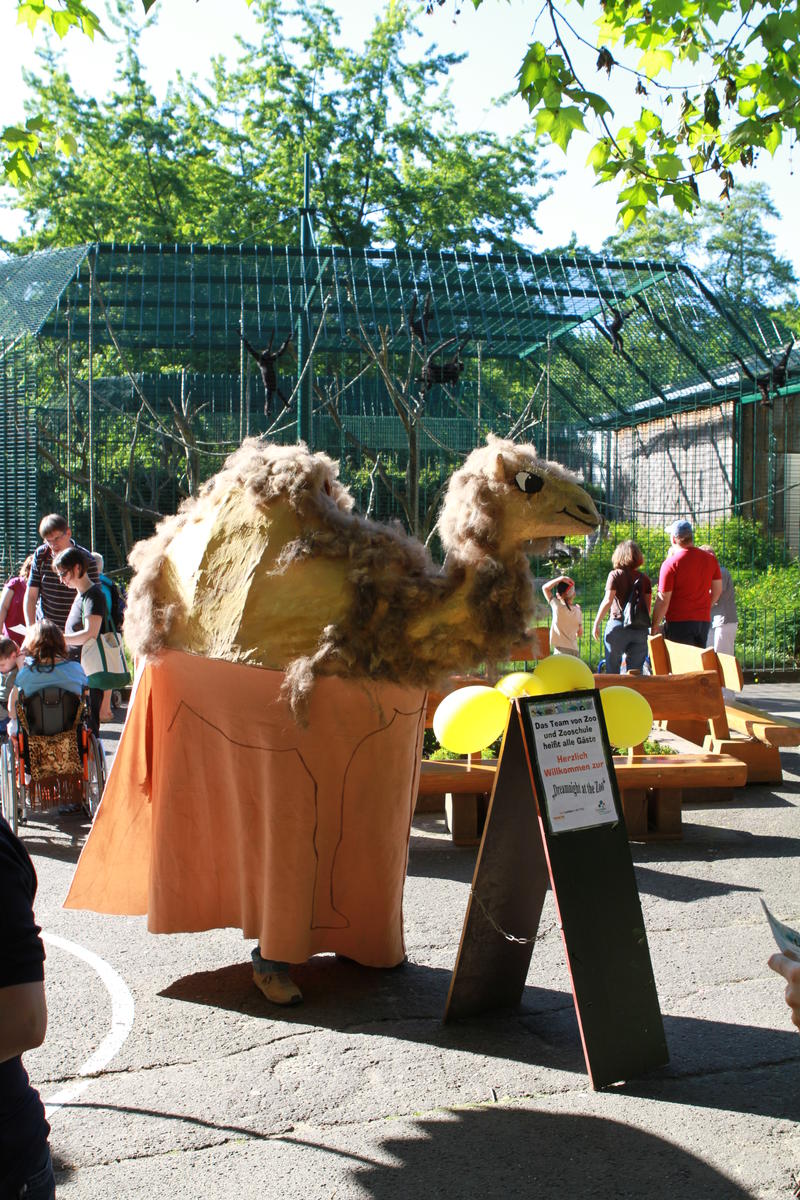 Das Zooschul-Maskottchen &raquo;Dromi&laquo; begr&uuml;&szlig;t die kleinen G&auml;ste an diesem besonderen Abend.
