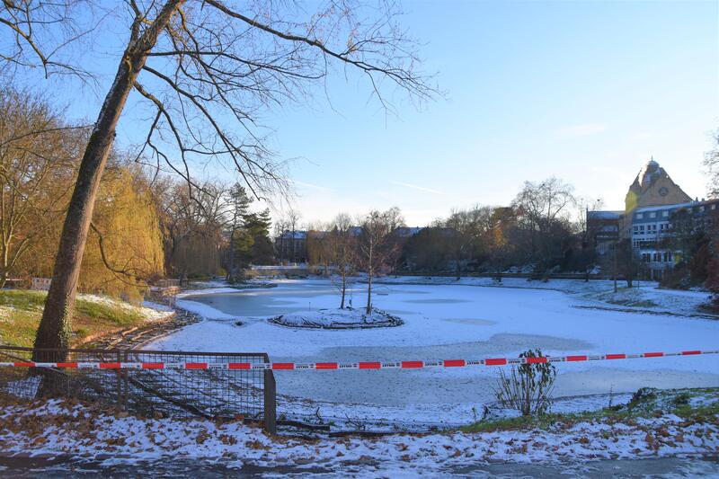 Der winterliche Schwanenweiher in Landau.