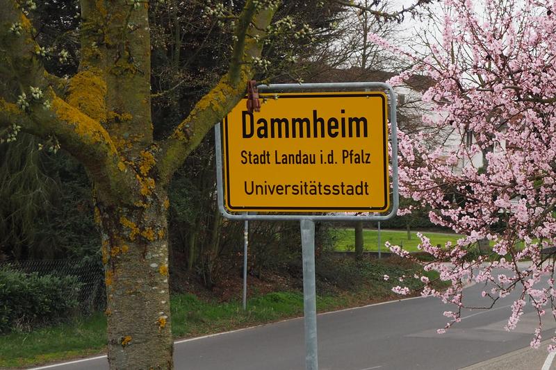 Dammheim