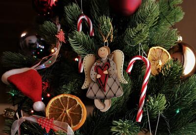 Bild vergr&ouml;&szlig;ern: Tsch&uuml;&szlig; Weihnachtsbaum: EWL holt ab dem 19. Januar kostenlos ausgediente Tannenb&auml;ume.