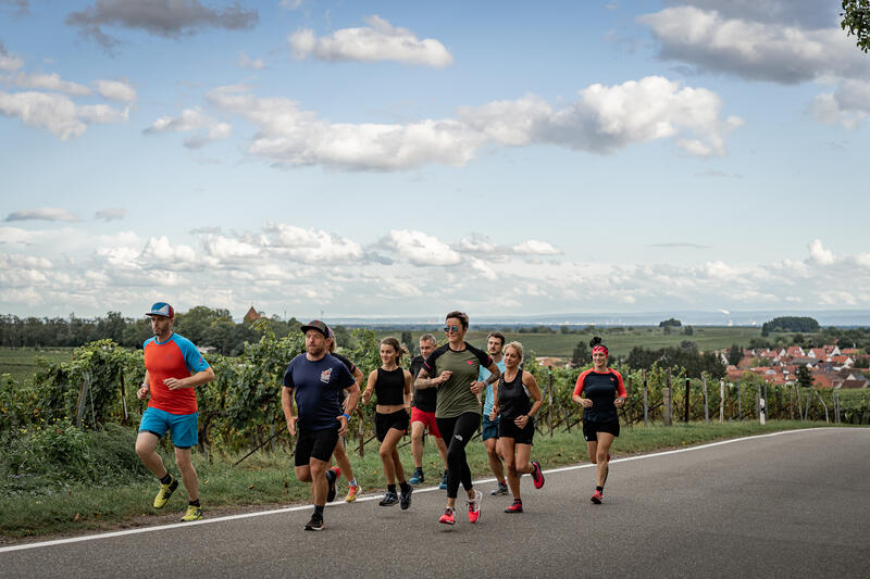 Der Br&eacute;al-Marathon Landau am 3. Oktober wird ein Stadt-und Landschaftslauf durch und rund um die S&uuml;dpfalzmetropole Landau.