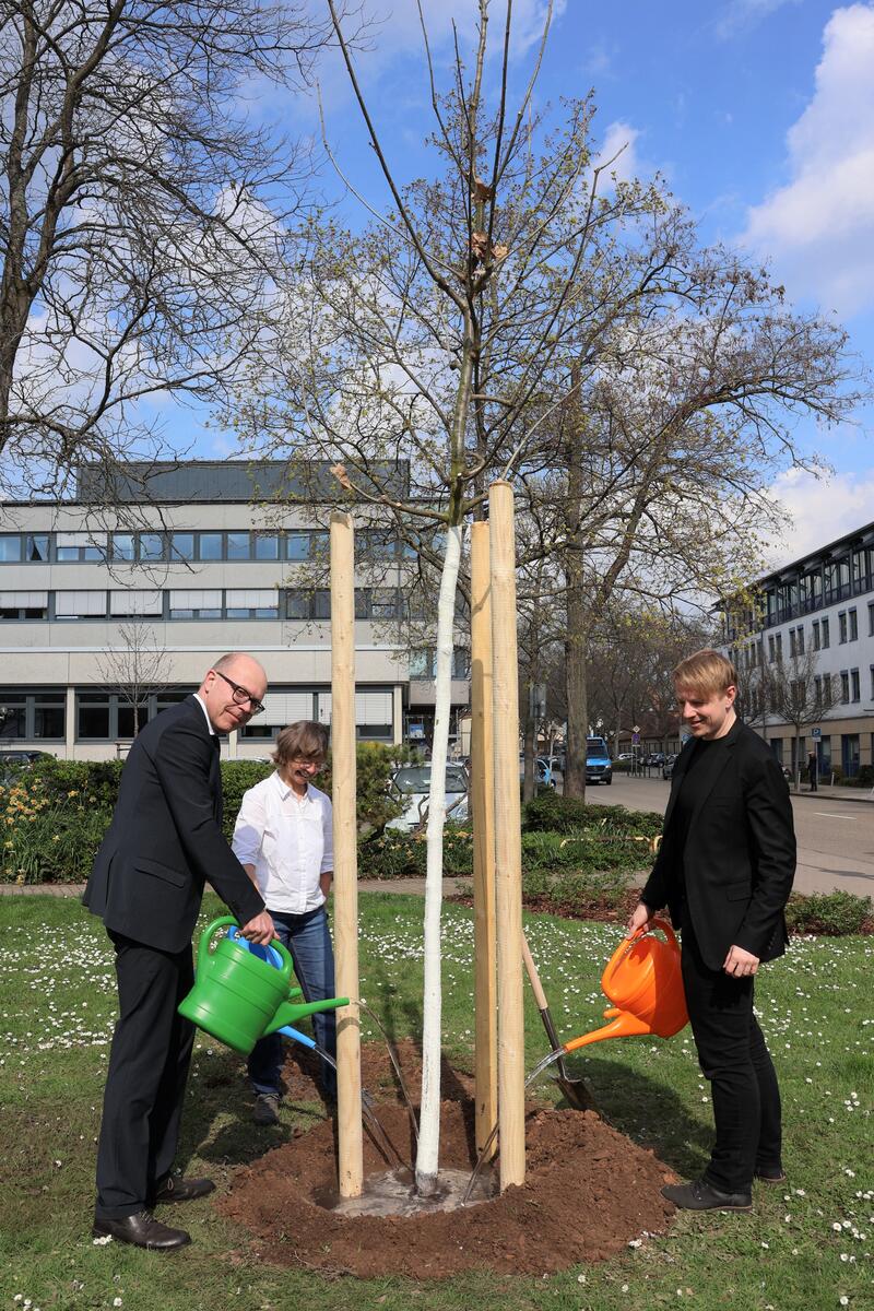 Oberb&uuml;rgermeister Dominik Gei&szlig;ler, Sabine Klein (Abteilungsleitung Gr&uuml;nfl&auml;che) und Umweltdezernent Lukas Hartmann beim Angie&szlig;en 