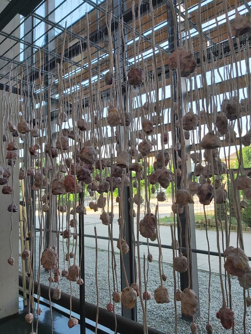 Bis zum 7. Juni ist die Kunstinstallation von Martin Lorenz in der Stadtbibliothek Landau zu sehen. 
