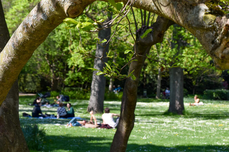 K&uuml;hle Oase im Landauer Stadtsommer: der Schillerpark. 