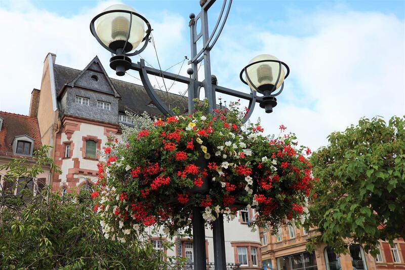 Blumenampeln - und Blumens&auml;ulen - sorgen f&uuml;r gute Jubil&auml;umsstimmung in Landau. 