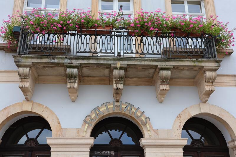 Das Rathaus und die &uuml;brigen st&auml;dtischen Dienstgeb&auml;ude in Landau sind vorerst nicht uneingeschr&auml;nkt zug&auml;nglich.