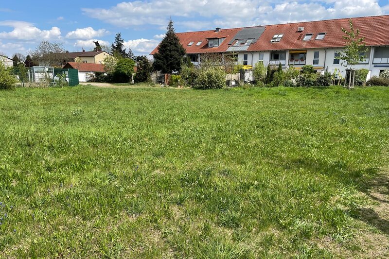 Landau bewirbt sich f&uuml;r das EU-Interreg-Projekt &raquo;LivableCities. Ziel des Projektes ist es unter anderem, halb&ouml;ffentliche Gr&uuml;nfl&auml;chen im Horst durch aktive Nutzung oder &ouml;kologische Verwilderung aufzuwerten. 