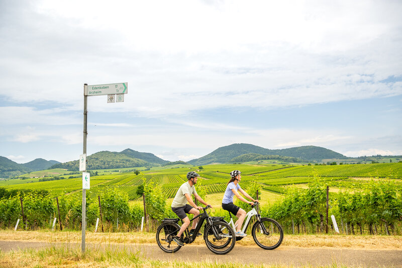 Am 11. und 12. November findet in Landau, und damit erstmals in Rheinland-Pfalz, die Fahrradkommunalkonferenz (FaKoKo) statt. Dort sprechen Fachleute aus Kommunen, Wissenschaft und Verb&auml;nden zum Motto &raquo;Stadt. Land. Rad. Sicher unterwegs&laquo;. 