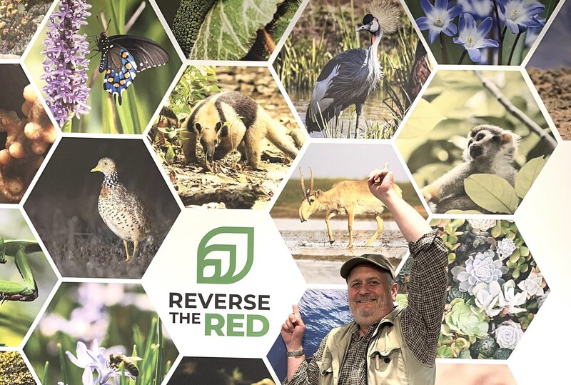 Bedrohungen f&uuml;r Arten umkehren, so auch f&uuml;r Kronenkraniche f&uuml;r die sich auch der Zoo Landau in Ruanda einsetzt, war das Ziel des Welt-Naturschutz-Kongress 2025 in Abu Dhabi.