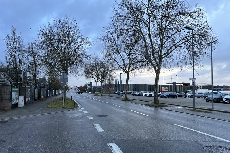 Die Landauer Herrenbergstra&szlig;e wird saniert. 