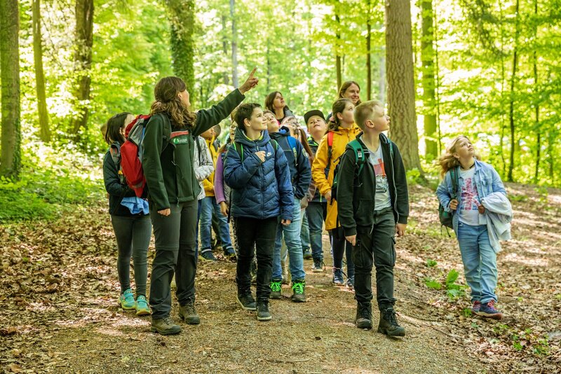 Beim Kunstwettbewerb zu gewinnen gibt es Waldf&uuml;hrungen f&uuml;r Schulklassen und KiTa-Gruppen. 