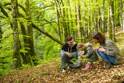 Bild vergr&ouml;&szlig;ern: Mit der ganzen Familie den Wald entdecken: Beim Waldentdeckertag im Landauer Stadtwald gibt es zahlreiche Mitmachaktionen f&uuml;r Gro&szlig; und Klein.