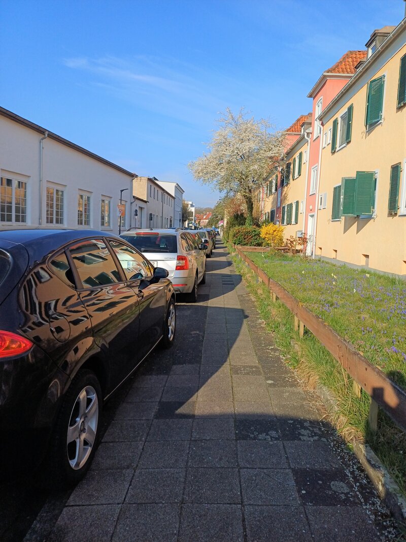 Mit einem Parkraumanagement m&ouml;chte die Stadt Landau f&uuml;r mehr Klarheit und Ordnung im Flieger- und Malerviertel sorgen.