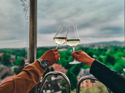 Bild vergr&ouml;&szlig;ern: Die Weinprobe hoch oben auf dem Riesenrad ist immer einer der H&ouml;hepunkte des Landauer Maimarkts.