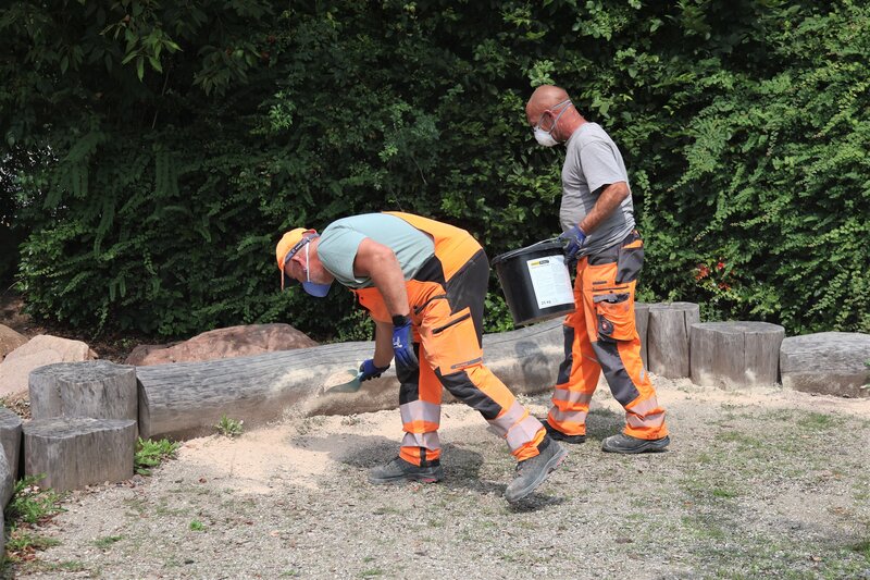 St&auml;dtische Mitarbeitende des Baufhofs im Einsatz: Mit Kieselgur k&ouml;nnen die Ameisen der Art Tapinoma magnum zur&uuml;ckgedr&auml;ngt werden. 