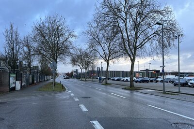 Bild vergr&ouml;&szlig;ern: Die Landauer Herrenbergstra&szlig;e wird saniert.