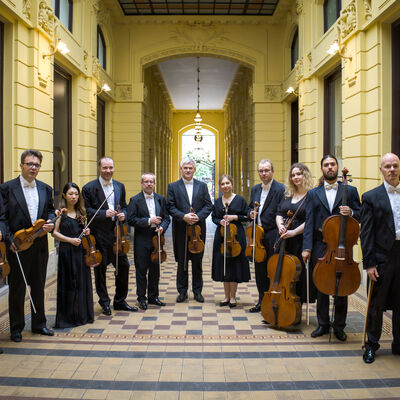 Bild vergr&ouml;&szlig;ern: Zagreb Soloists_3_c_Ivan Mihaljevic