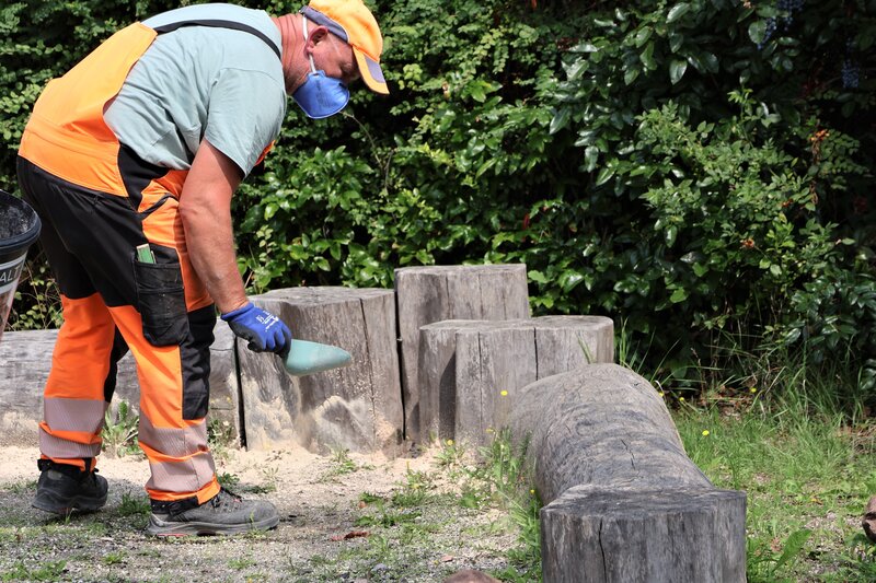 Tapinoma magnum in Landau: Stadt setzt auf gezielte Ma&szlig;nahmen mit Kieselgur.