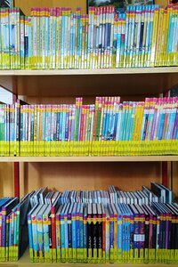 Bild vergr&ouml;&szlig;ern: F&uuml;r den Lesesommer hat die Stadtbibliothek Landau extra neue B&uuml;cher angeschafft. 