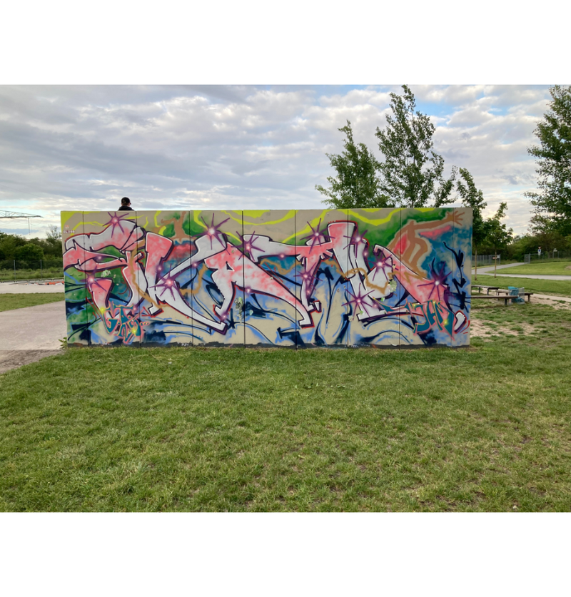 Alle freigegebenen Graffiti-Fl&auml;chen - wie hier die R&uuml;ckwand der Halfpipe im Spiel und Sportcampus &raquo;Am Ebenberg&laquo; - sind im GeoPortal unter https://maps.landau.de/graffiti zu finden. 