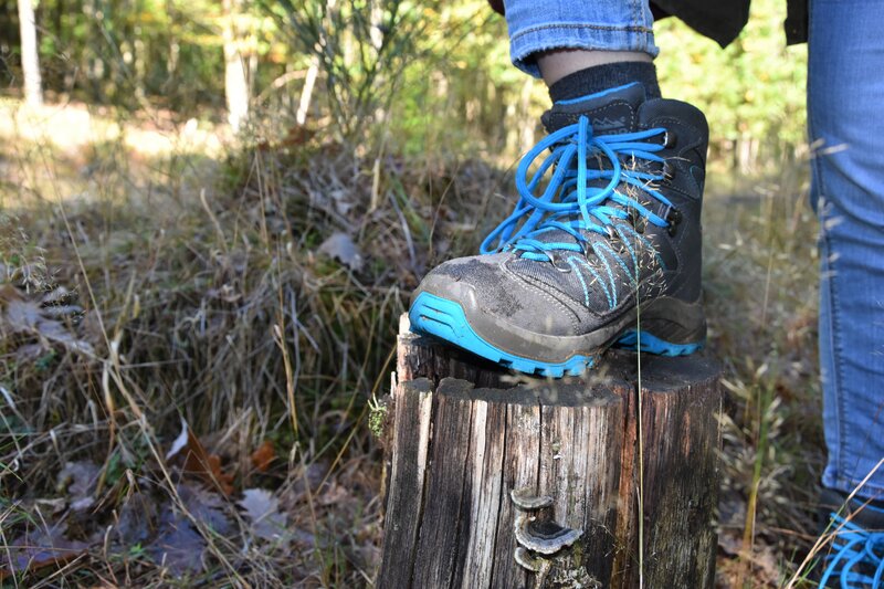 Wanderschuhe an und los: Zum Jubil&auml;um des Landauer Stadtwalds lockt am 19. und 20. September das Walderlebnis-Wochenende auf den Taubensuhl. 