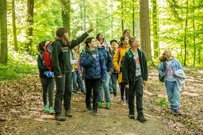 Bild vergr&ouml;&szlig;ern: Bei den F&uuml;hrungen im Rahmen des Walderlebnis-Wochenendes auf dem Taubensuhl k&ouml;nnen Interessierte den Stadtwald aus ganz unterschiedlichen Perspektiven entdecken. Eine Anmeldung wird aufgrund der begrenzten Pl&auml;tze empfohlen.