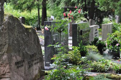 Bild vergr&ouml;&szlig;ern: Auf dem Landauer Hauptfriedhof musste das Wasser abgestellt werden.