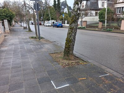 Bild vergr&ouml;&szlig;ern: Mehr Platz f&uuml;r Stra&szlig;enb&auml;ume: In der Eichbornstra&szlig;e werden die Baumbeete vergr&ouml;&szlig;ert.