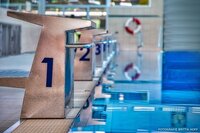 Bild vergr&ouml;&szlig;ern: Anfang November findet das Wasserrattenschwimmen im Freizeitbad LA OLA in Landau statt.