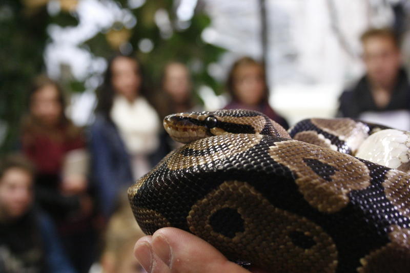 Ob Wertsch&auml;tzung und Erhalt der biologischen Vielfalt, Tier-, Arten- und Umweltschutz oder der verantwortungsvolle Umgang mit Tieren - die Zooschule Landau leistet einen besonderen Beitrag zur Umweltbildung in der Region und wird voraussichtlich im Fr&uuml;hja