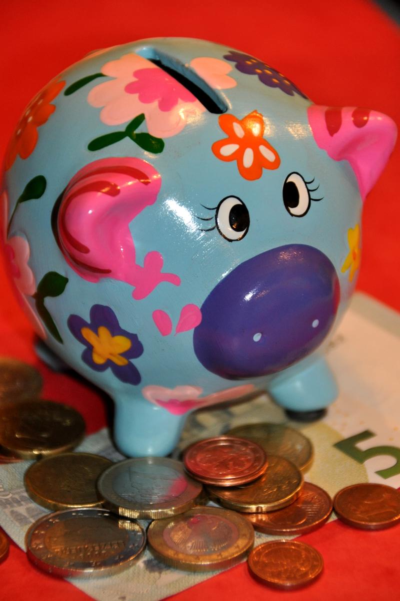 Da freut sich das Sparschwein: Die Landauer Taschengeldb&ouml;rse bietet Jugendlichen die M&ouml;glichkeit, ihr Taschengeld aufzubessern und gleichzeitig  Kontakte zu kn&uuml;pfen und ihre Sozialkompetenzen zu verbessern. 