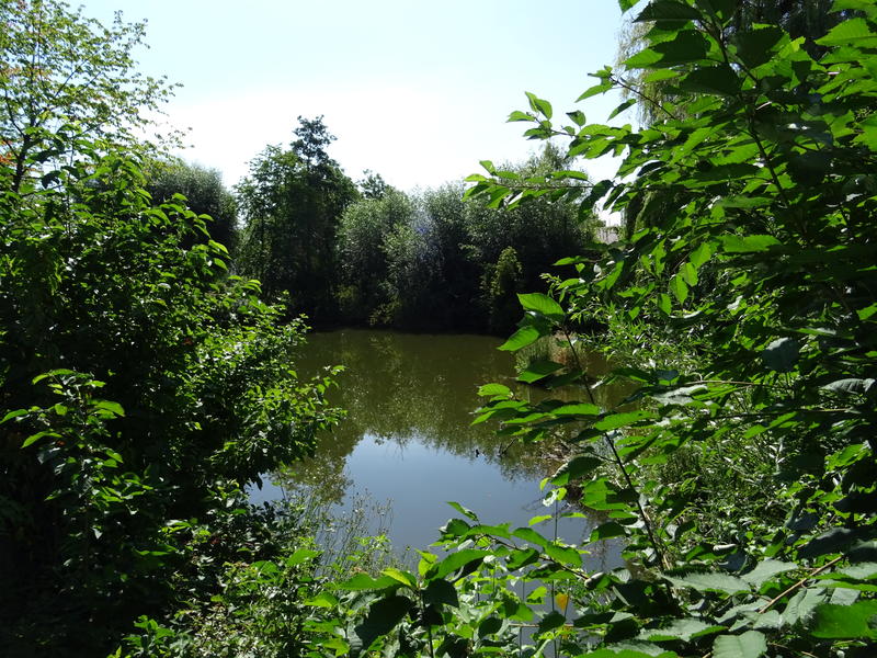Der Hordtweiher in M&ouml;rzheim im Sommer. Eine der zehn Arbeitsgruppen, die sich in dem Stadtdorf im Zuge des Modellprojekts &raquo;Kommune der Zukunft&laquo; gebildet haben, besch&auml;ftigt sich mit dem Thema &raquo;Erholung und Umweltbildung am Hordtweiher&laquo;. 
