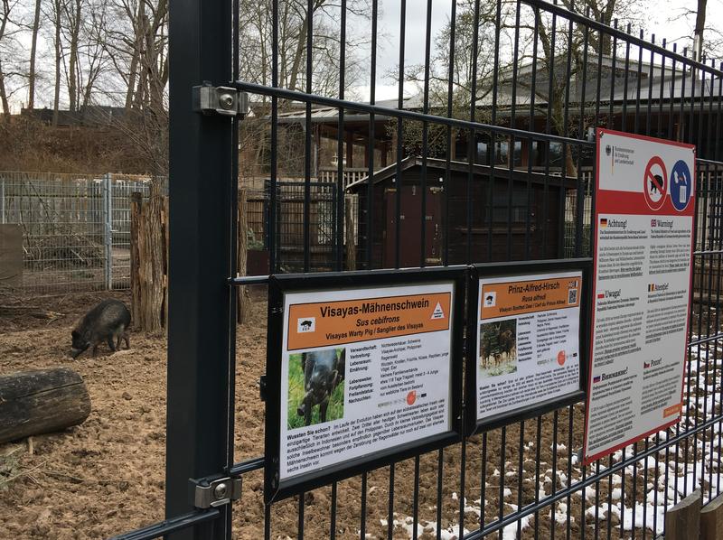 An den Gehegen der Minischweine, Pinselohrschweine und M&auml;hnenschweine im Zoo Landau wurden zus&auml;tzlich Warn- und Hinweisschilder bez&uuml;glich eines F&uuml;tterungsverbots angebracht.