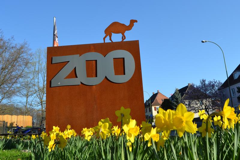 Ein Zeichen der Kontinuit&auml;t: Der komplette gesch&auml;ftsf&uuml;hrende Vorstand des Freundeskreises des Landauer Zoos wurde in der j&uuml;ngsten Mitgliederversammlung des F&ouml;rdervereins im Amt best&auml;tigt.