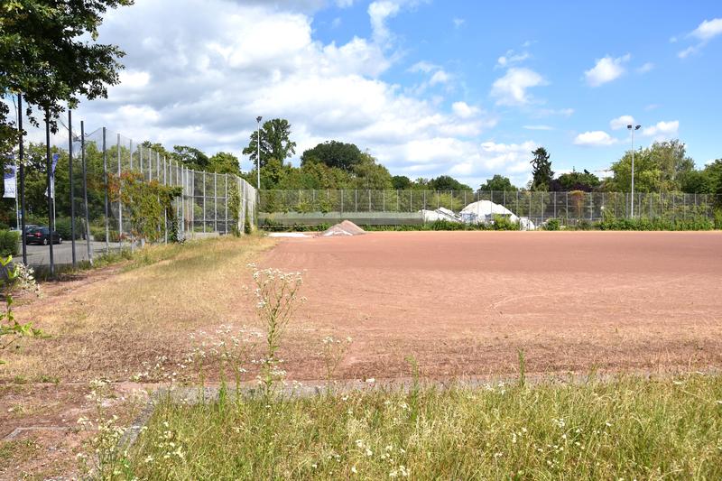 Auf dem Gel&auml;nde des Jahnsportplatzes in Landau soll die neue Sporthalle West entstehen. 