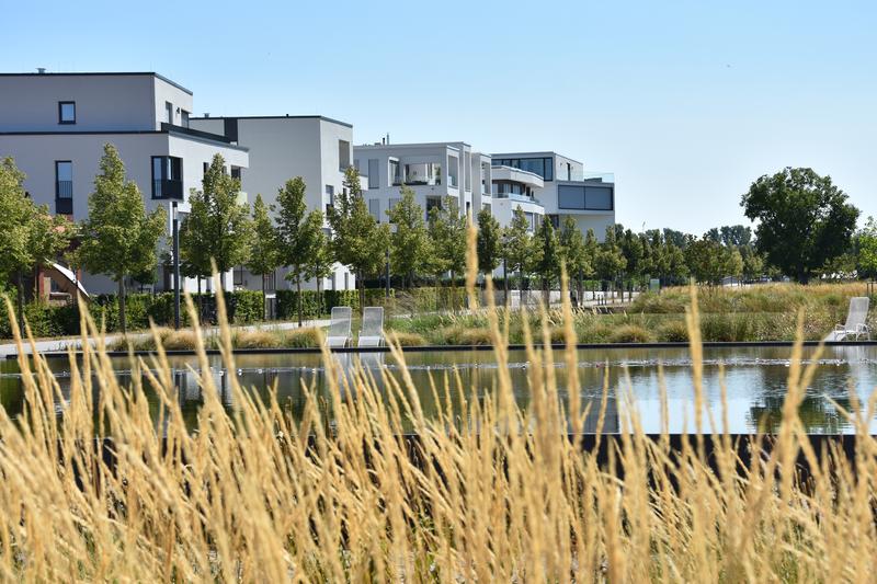 Begleitet von der Landauer Stadtverwaltung entstanden und entstehen derzeit zehn Baugemeinschaftsprojekte im &raquo;Wohnpark Am Ebenberg&laquo;. Um das Erfolgsmodell &raquo;Baugemeinschaften&laquo; auch k&uuml;nftig zu unterst&uuml;tzen und weiterzuentwickeln, wird mit dem Baufeld 15 ein 