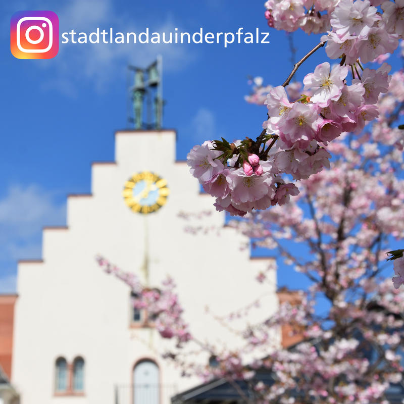 Die Stadt Landau ist ab sofort auch im sozialen Netzwerk Instagram aktiv. 