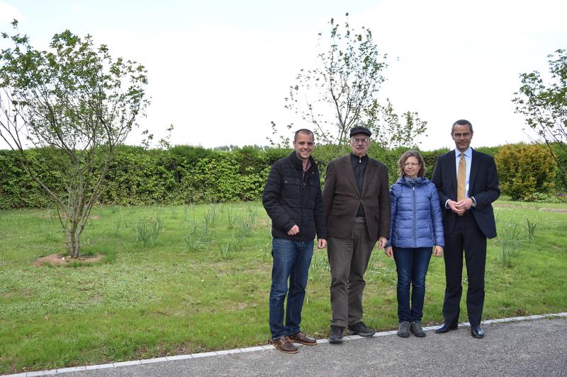 Ortsvorsteher Florian Maier, der Leiter der Friedhofsverwaltung, Gerhard Blumer, die Leiterin der st&auml;dtischen Gr&uuml;nfl&auml;chenabteilung, Sabine Klein, sowie B&uuml;rgermeister und Friedhofsdezernent Dr. Maximilian Ingenthron haben den neuen Baumhain auf dem Dammhei