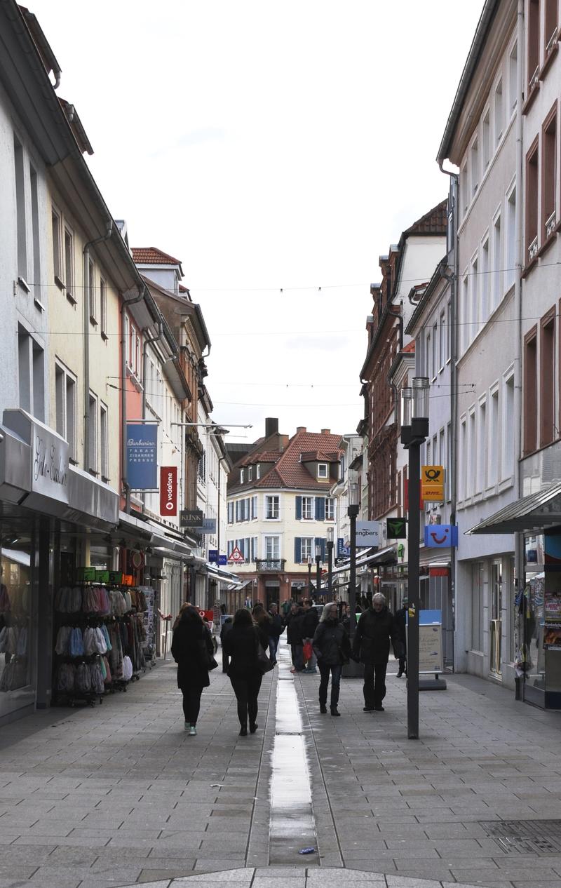 Die Landauer Innenstadt ist ein attraktiver und lebendiger Einkaufsort. Um das sicherstellen zu k&ouml;nnen, wird mit Hilfe eines Einzelhandelskonzepts gezielt gesteuert. Die Bestrebungen, im nahen Rohrbach ein Einkaufszentrum mit rund 10.000 Quadratmetern Ver