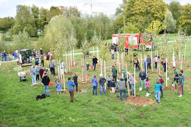 Gemeinsam sind wir stark: Rund 50 Landauerinnen und Landauer pflanzten auf dem fr&uuml;heren LGS-Gel&auml;nde unweit des Aussichtsturms 25 B&auml;ume. 
