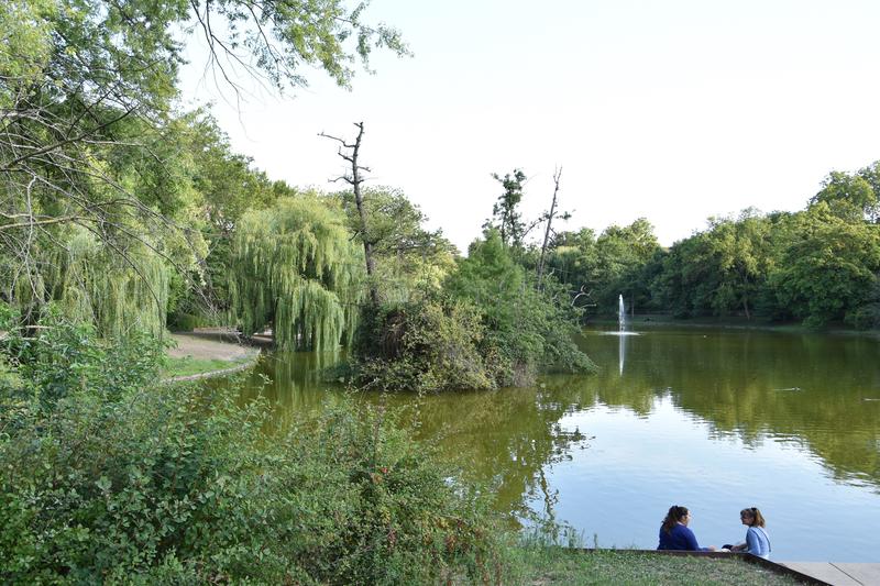 Der Schwanenweiher in Landau soll wieder zum attraktiven Naherholungsgebiet f&uuml;r alle werden.