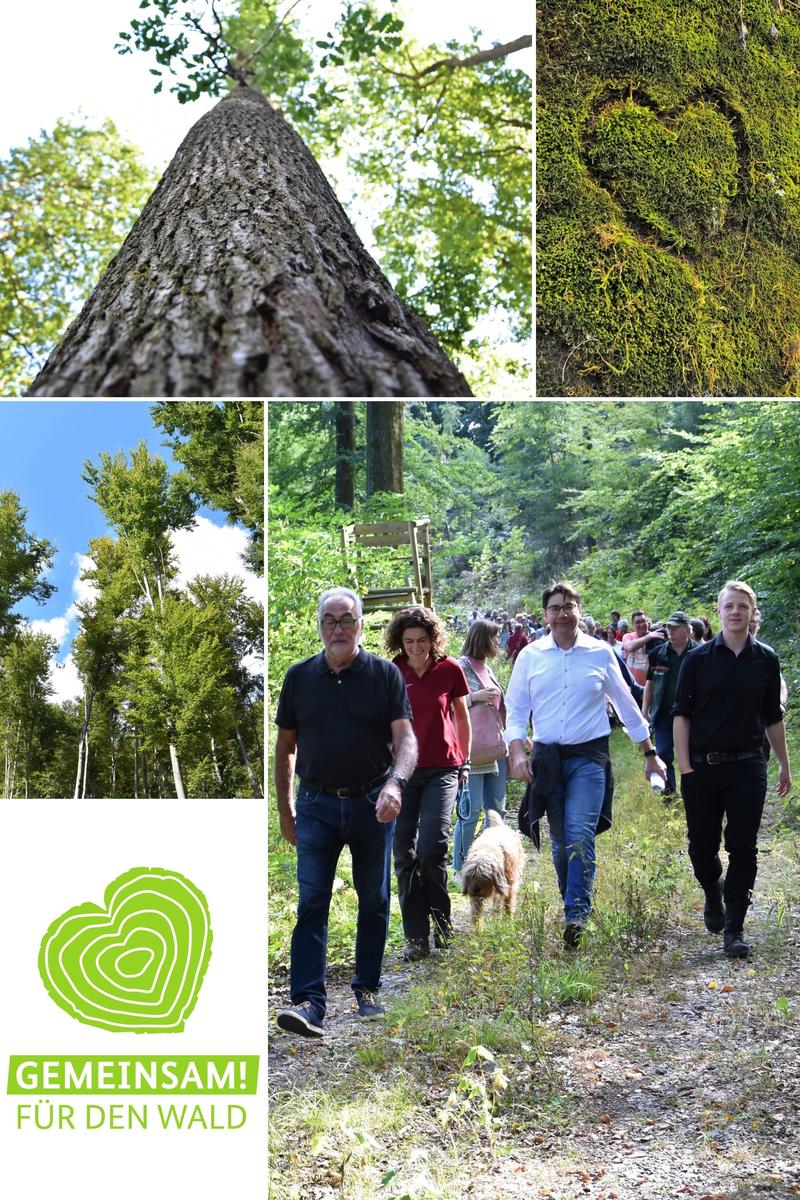 Die Stadt Landau hat sich mit Impressionen vom Stadtwald an der Gr&uuml;nes-Herz-Aktion des Bundesministeriums f&uuml;r Ern&auml;hrung und Landwirtschaft beteiligt.