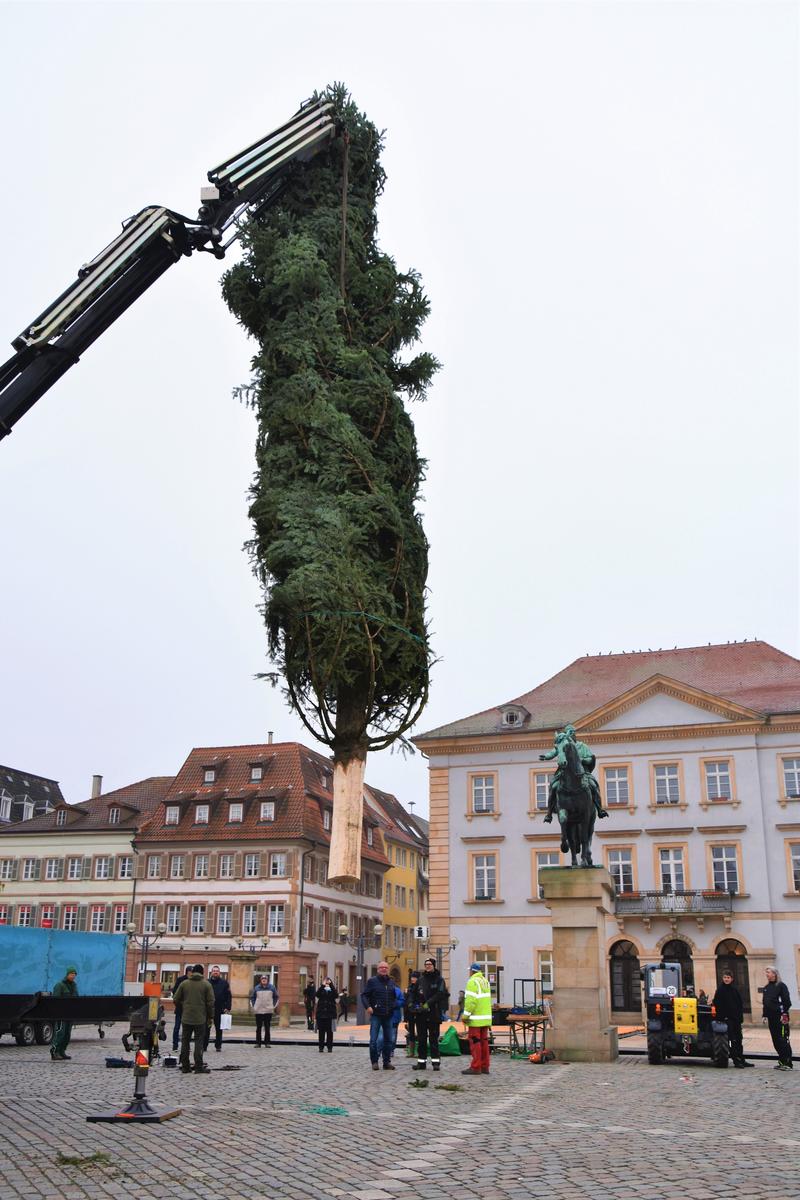 Kommt ein Tannenbaum geflogen: Auch in diesem Jahr - wie hier 2019 - soll f&uuml;r weihnachtliches Flair in der Landauer Innenstadt gesorgt werden. 