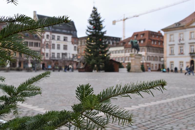 Der Blick auf den weihnachtlich geschm&uuml;ckten Landauer Rathausplatz. Hier findet an drei Donnerstagen im Dezember der neue Winterwochenmarkt statt.