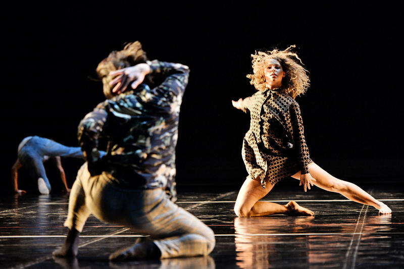 Das Tanzensemble des Pfalztheaters Kaiserslautern soll im November dieses Jahres mit dem Tanztheaterst&uuml;ck &raquo;Human 8 Words&laquo; in der Landauer Jugendstil-Festhalle gastieren. Die einzelnen Szenen des St&uuml;cks wurden von den T&auml;nzerinnen und T&auml;nzern im Home-Office