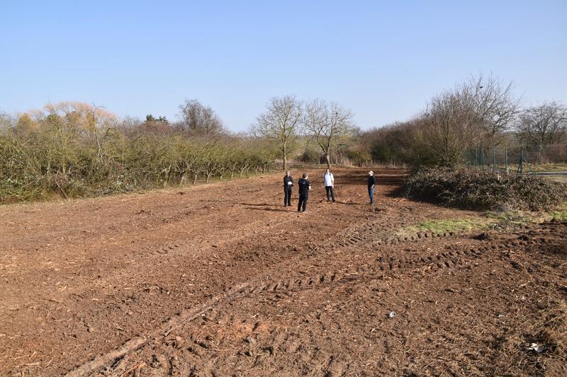 Totaler Kahlschlag: S&uuml;dlich von Nu&szlig;dorf wurden vor Kurzem mehrere wertvolle Biotopfl&auml;chen zerst&ouml;rt. 