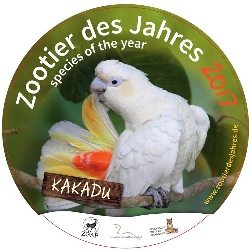 Der Kakadu ist &raquo;Zootier des Jahres 2017&laquo;! 